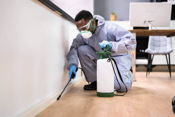 Best Real Estate Pest Inspections  in Liberty, SC